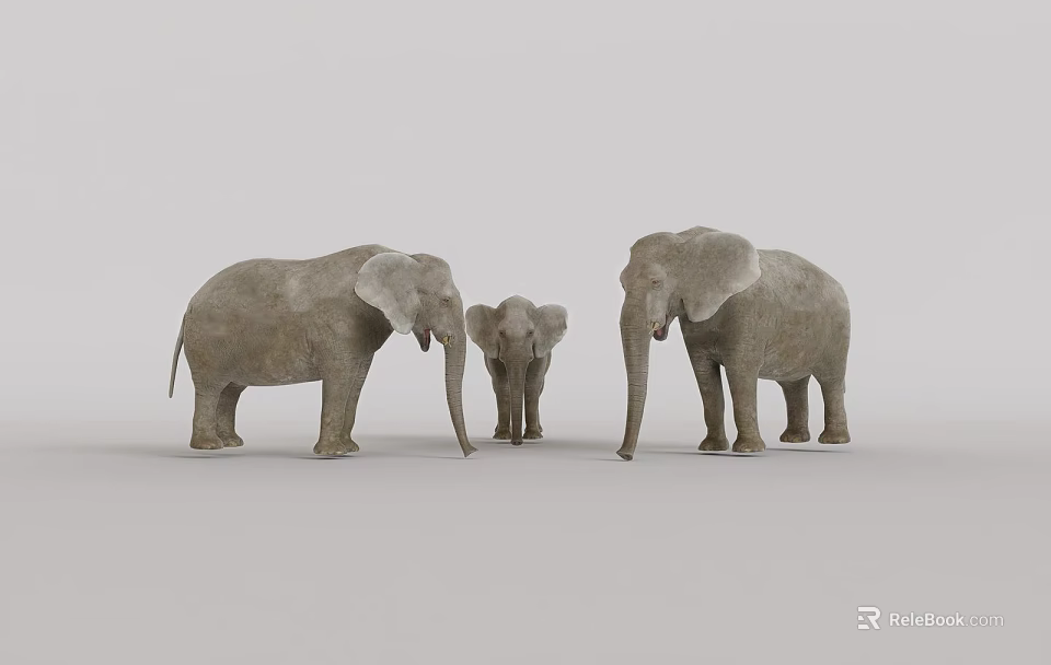 Three Gray Elephants Family Group With Adult And Baby Standing Against White Background 3d model 