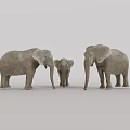 Three Gray Elephants Family Group With Adult And Baby Standing Against White Background
