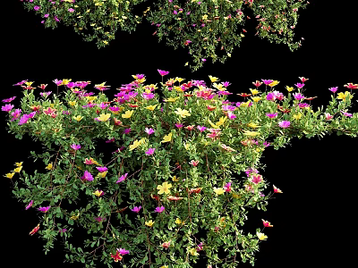 Vibrant Garden Decor With Colorful Mixed Flowers And Lush Green Foliage 3d model