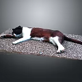 Black White And Brown Cat Lying Stretched Out On Pebble Covered Mat With Gray Background