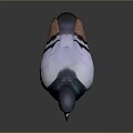 Realistic Animal Painting of Pigeon with Dark Gray Body White Wings and Green Iridescent Neck