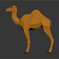 Orange Low Poly Camel 3D Model With Smooth Edges On Dark Background 3d model