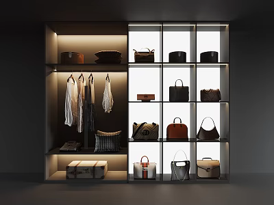 Various Stylish Bags And Boxes In Illuminated Display Cabinet With Shelves And Hanging Items 3d model