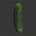 Fresh Green Cucumber with Small Spines Smooth Skin and Juicy Texture