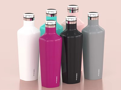 Modern Vacuum Flasks In Various Colors With Metallic Lids And Sleek Design 3d model