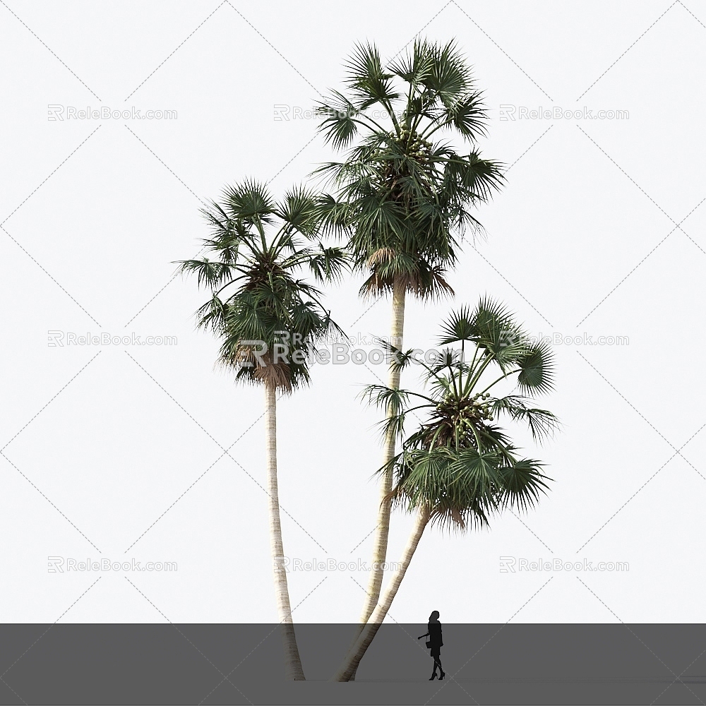 Modern Tree Sugar Palm Tree Landscape Tree 3d model