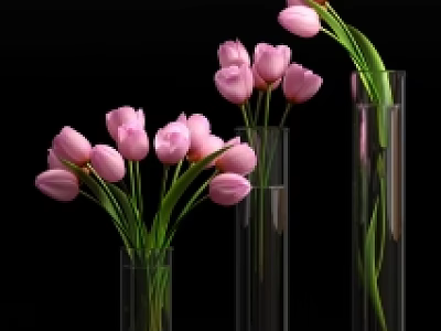 Elegant Pink Tulips Arranged in Transparent Glass Vase for Home Decoration 3d model