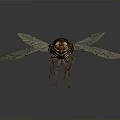 Detailed Cicada With Transparent Wings Red Eyes And Intricate Body Texture