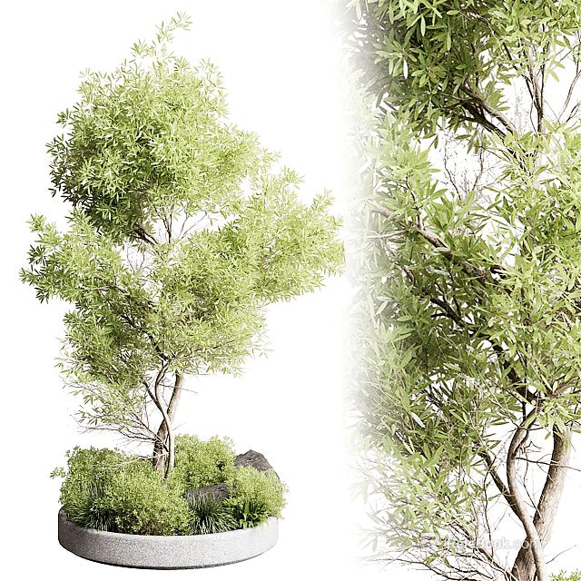 Tree Pit with Lush Green Trees and Natural Landscape Design Elements 3d model 