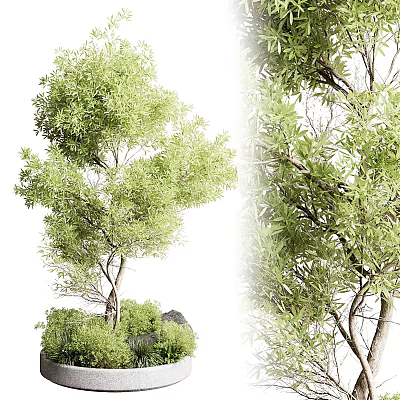 Tree Pit with Lush Green Trees and Natural Landscape Design Elements 3d model