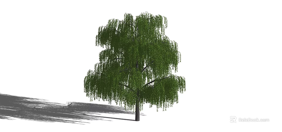 Tall Weeping Willow Tree With Lush Green Drooping Branches And Shadow 3d model 