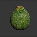 Fresh Green Zucchini With Bumpy Texture And Yellow Top Isolated On Dark Background 3d model