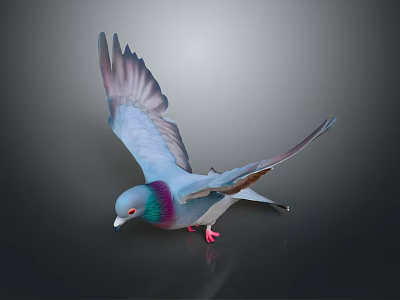 Flying Pigeon With Spread Wings Blue Purple Green Iridescent Feathers Red Feet Dark Background 3d model