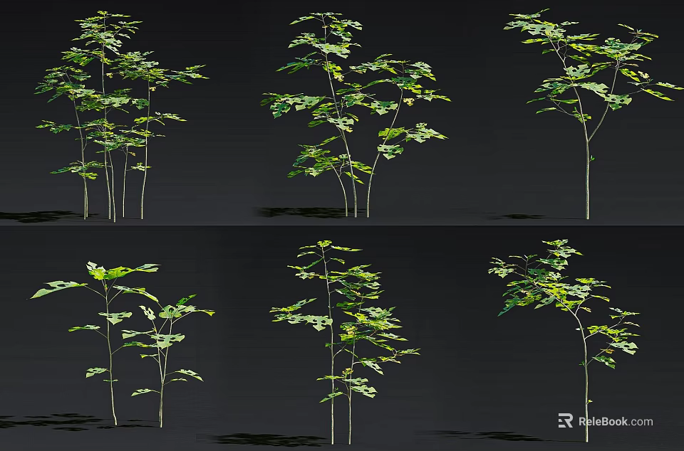 Green Leafy Plants In Various Forms With Branch Structures On Black Background 3d model 