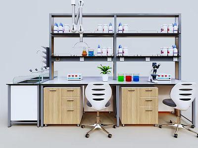Modern Laboratory Setup With Lab Bench Shelves Microscope Colorful Bottles And Potted Plant 3d model