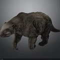 Realistic Sloth Model With Brown Fur Walking Posture And Detailed Texture