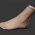 Realistic Human Feet Organ Structure With Detailed Toes Fine Hair And Smooth Skin Surface