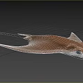 Graceful Brown Aquatic Stingray With Long Tail And White Eyes Swimming