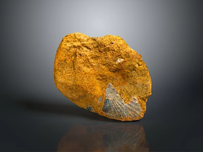 Natural Yellow Stone Specimen With Fossil Like Pattern And Textured Surface 3d model