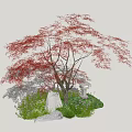Japanese Maple Tree With Red Leaves Stone Lantern And Purple Flowers