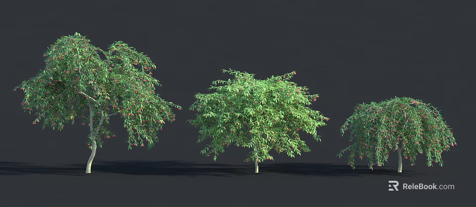 Three Lush Green Shrubs With Red Berries And Shadows On Dark Background 3d model 