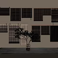Various Styles Wooden Bamboo Blinds Hanging On Wall With Small Potted Plant And Rug