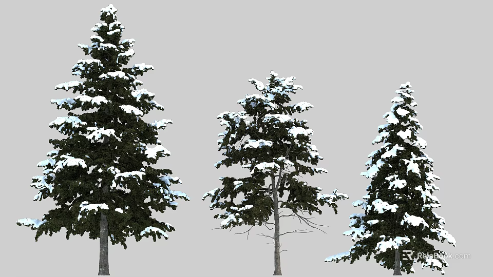 Tall Evergreen Trees With Snow Covered Branches And Natural Winter Scene Details 3d model 