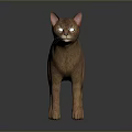 Realistic Brown Cat 3D Model With White Eyes Detailed Fur Standing On Dark Background