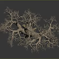 Wooden Stone Carved Tree With Intricate Branches And Textured Trunk