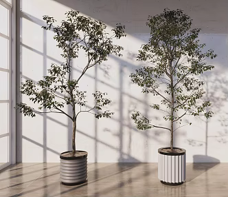 Modern potted plant combination 3d model