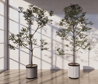 Modern potted plant combination 3d model