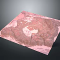 Modern Decorative Pink Map Wall Art With Intricate Terrain And Mountain Patterns