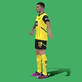 Man Wearing Yellow Black Football Jersey 18 BVB Logo Arms Outstretched Against Green Screen Background