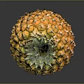 Fresh Ripe Pineapple with Vibrant Green Leaves and Golden Yellow Skin as Juicy Tropical Fruit