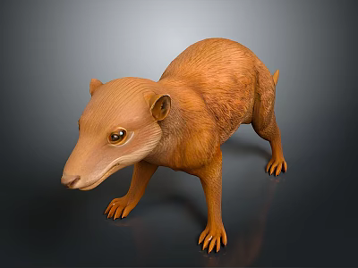 Small Brown Mammal With Long Snout Sharp Claws In Standing 3D Pose On Dark Background 3d model