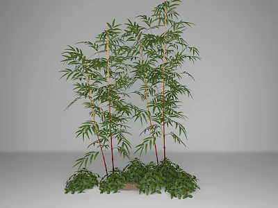 Bamboo Decorative Plant With Green Leaves Red Stems And Lush Surrounding Foliage 3d model
