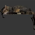 Striped Cat Lying Comfortably on White Platform Against Dark Background 3d model
