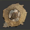 Natural Wooden Stone Decorative Sculpture with Stump Base and Textured Details