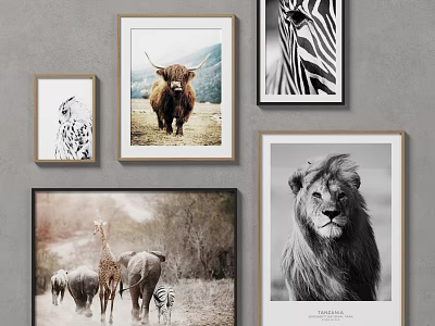 Framed Animal Paintings Featuring Highland Cow Zebra Lion Giraffe And Elephant Wall Art 3d model