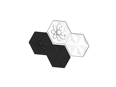Modern Floor Design with Black and White Hexagonal Tiles and Intricate Flower Patterns 3d model