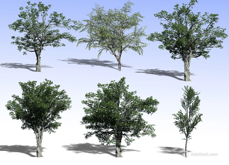 Different Types of Arbor Trees Showcasing Diverse Foliage and Unique Canopy Structures 3d model 