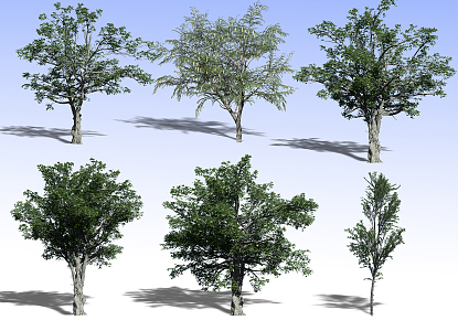 Tree 3d model