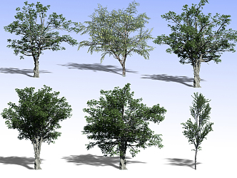 Tree 3d model