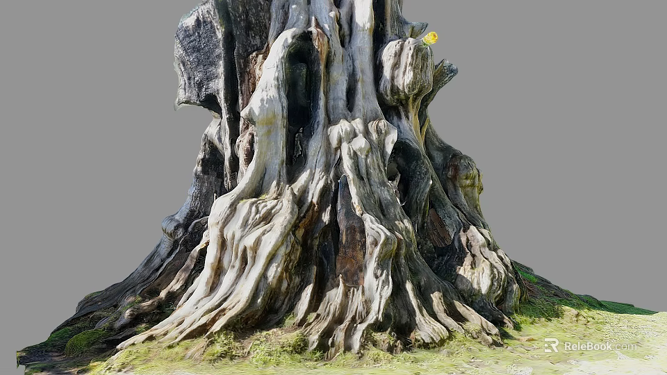 Ancient Tree With Gnarled Twisted Exposed Roots At Base And Green Grass Around Trunk 3d model 