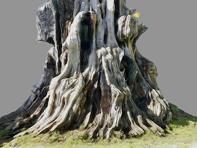 Ancient Tree With Gnarled Twisted Exposed Roots At Base And Green Grass Around Trunk 3d model