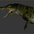 Modern Crocodile Alligator Nile Alligator Lizard 3d model