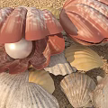 Modern Shell 3d model
