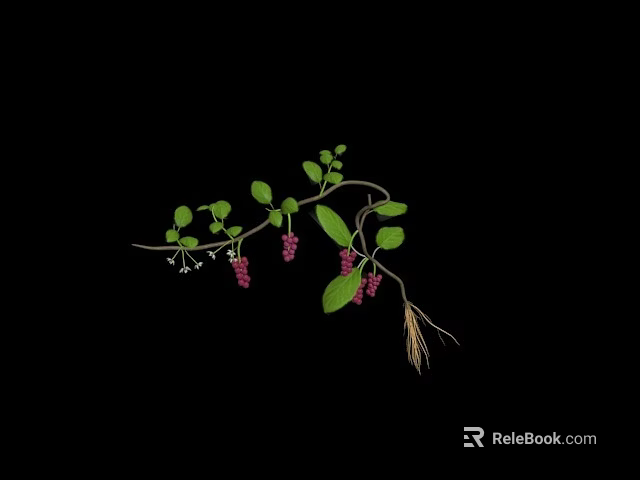 Green Plant Branch With Small Leaves Pink Berries And Roots 3d model 