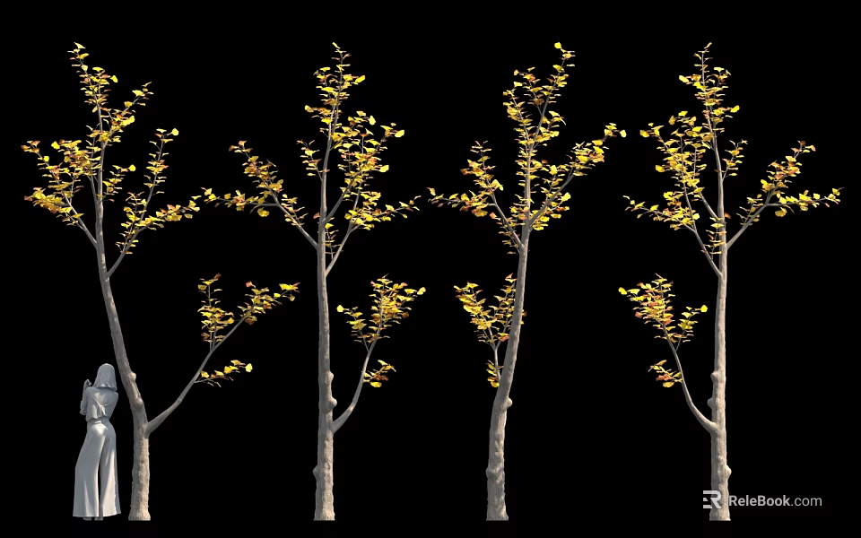 Ginkgo Trees With Yellow Leaves Against Black Background And Person Silhouette 3d model 