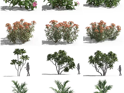 Different Varieties of Flowering Bushes with Pink Blooms and Human Figure for Scale 3d model